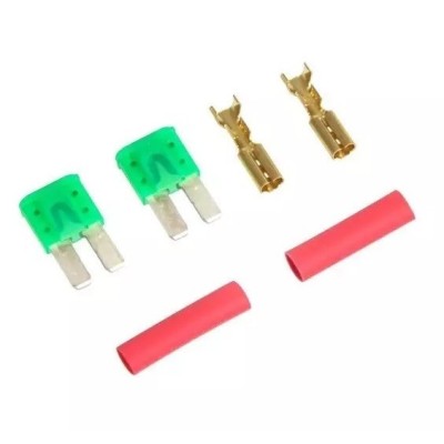 Set of 2 Mini Fuses [Gate]