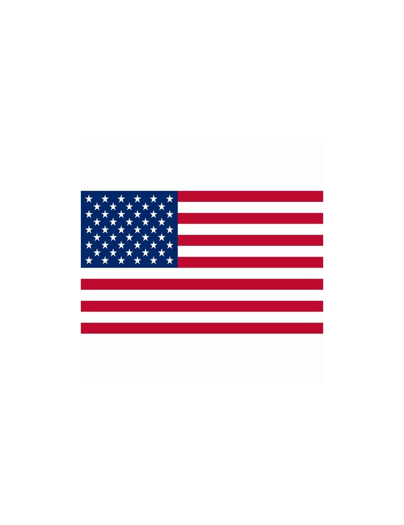 Bandeira Poliester USA [Fosco]