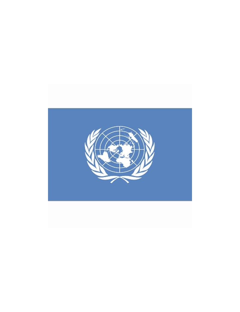 Bandeira Poliester UN [Fosco]